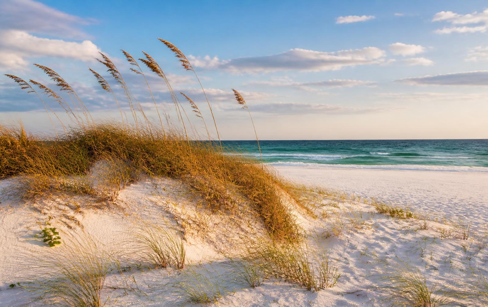 White sand dunes and native sea oats along Northwest Florida's emerald Gulf shoreline